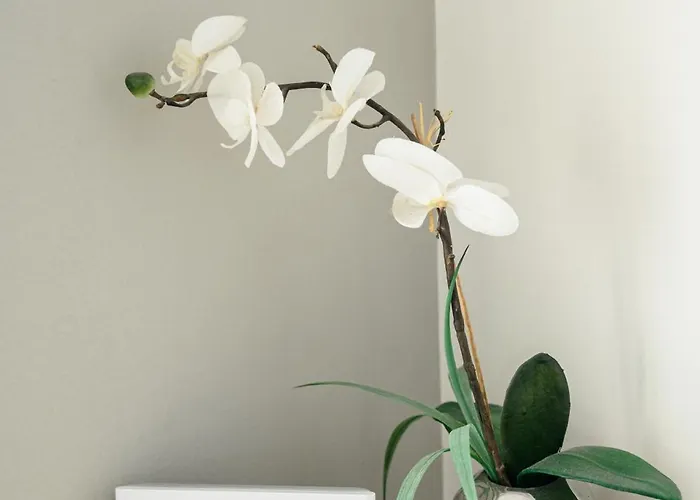 شقة Christina's Beachside